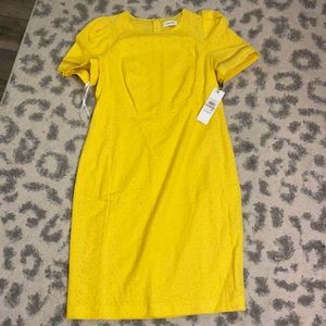 Lovely eyelet dress with puff sleeves